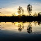 Sonnenuntergang beim Abendspaziergang