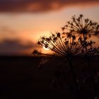 Sonnenuntergang beim Seljalandsfoss