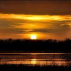 Sonnenuntergang beim Überschwemmungsgebiet Havel / Stremme bei Rathenow