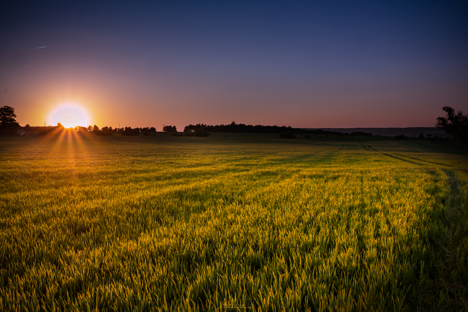 Sonnenuntergang Belvedere