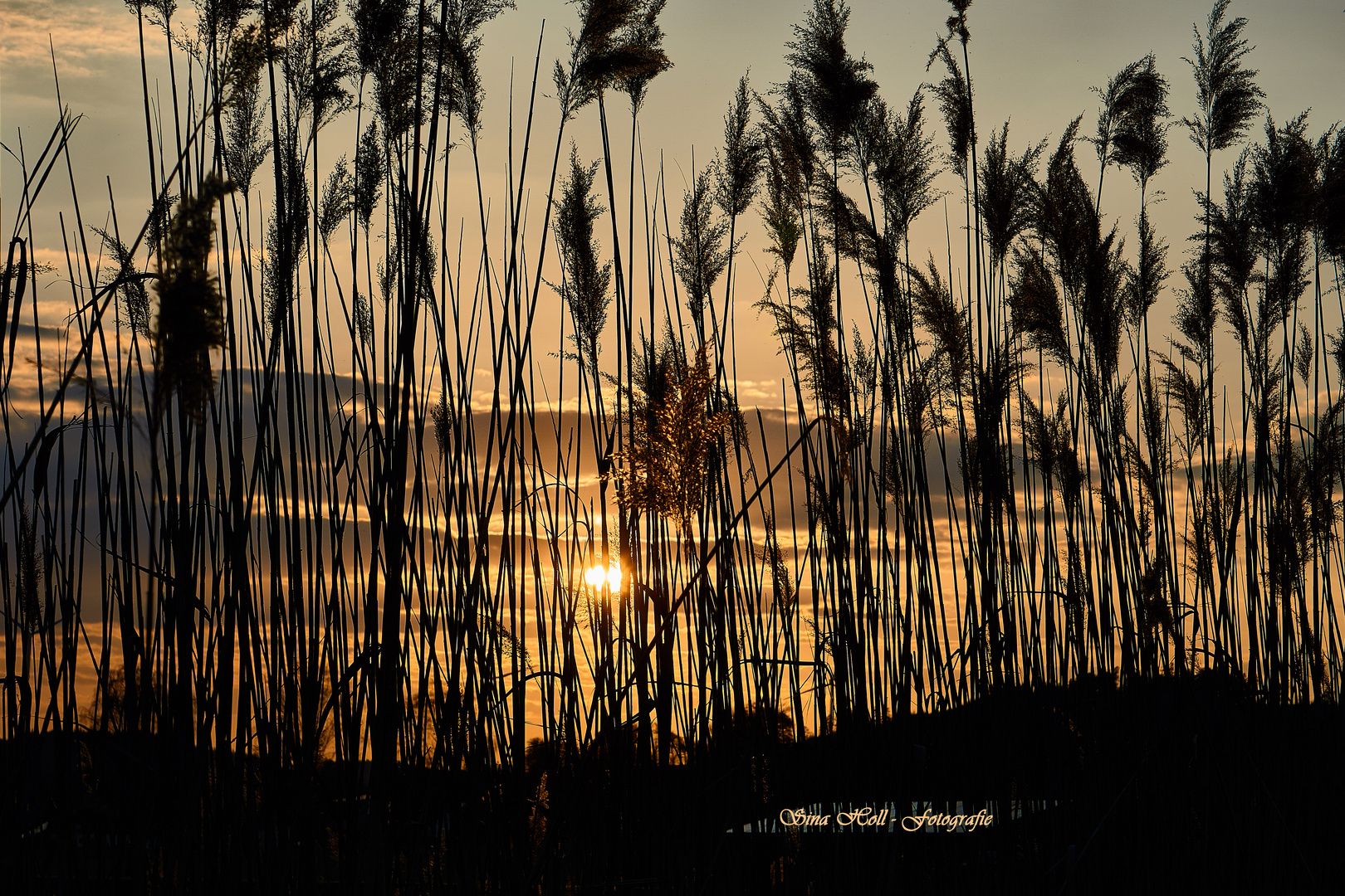 Sonnenuntergang 