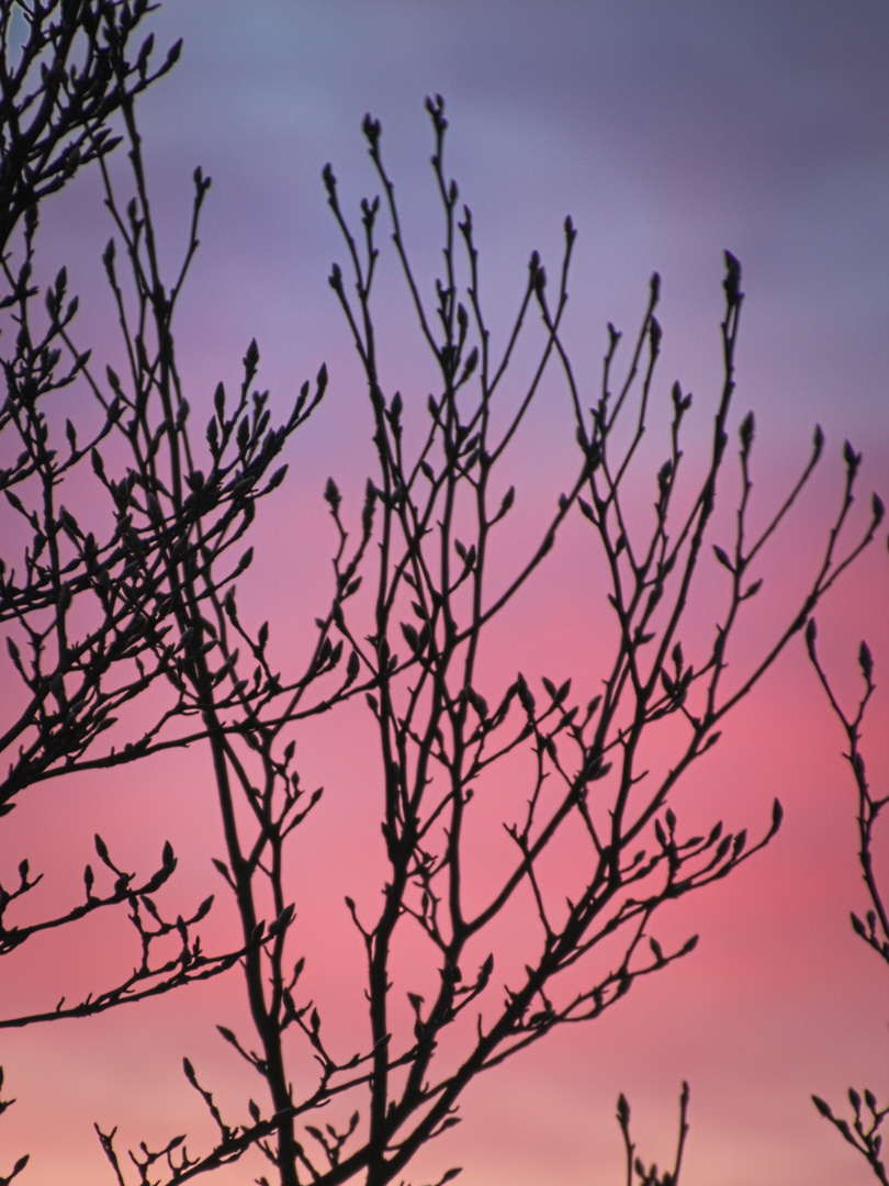 Sonnenuntergang