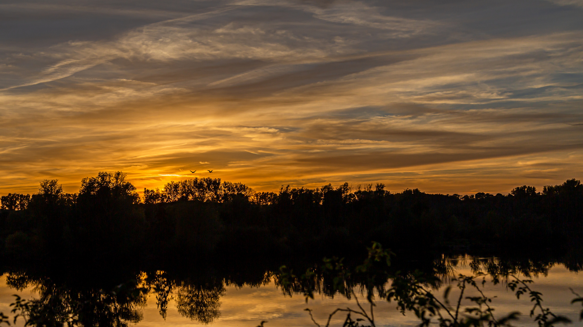 Sonnenuntergang Bislicher Insel