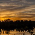 Sonnenuntergang Bislicher Insel