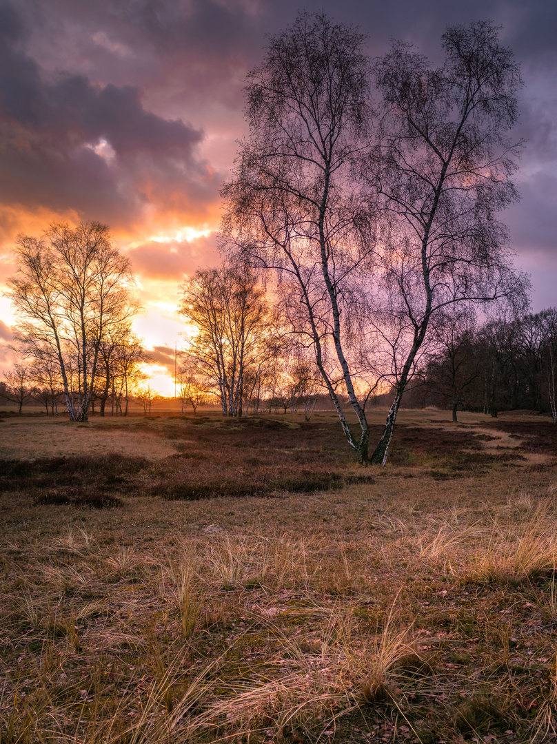 Sonnenuntergang Boberger Dünen 