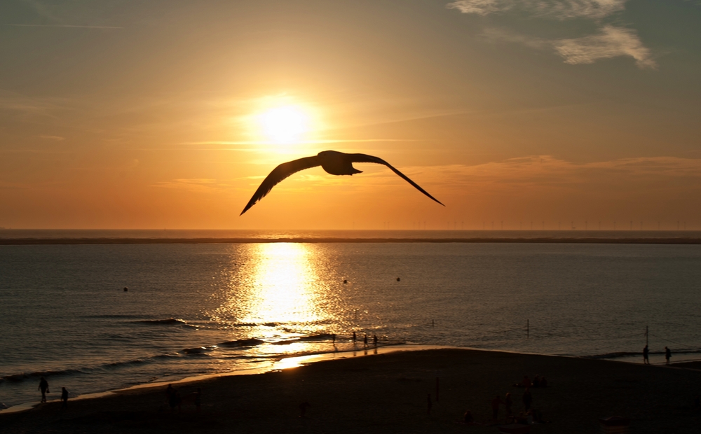 Sonnenuntergang Borkum