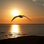 Sonnenuntergang Borkum