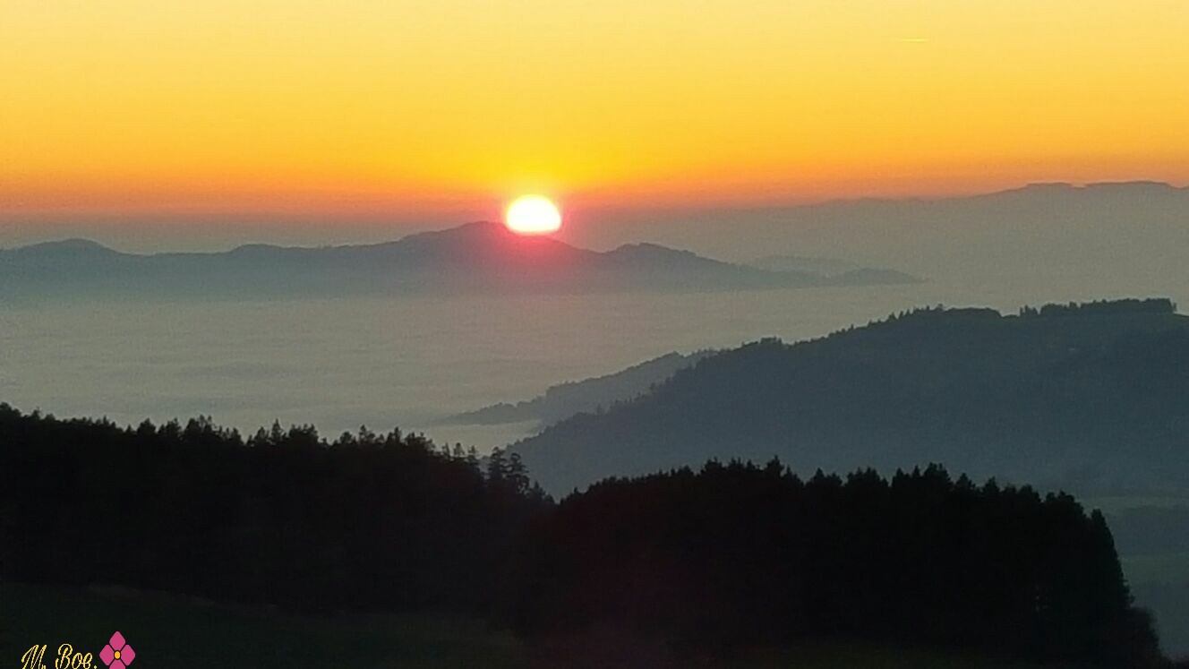 Sonnenuntergang Breisgau im Nebel