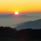 Sonnenuntergang Breisgau im Nebel