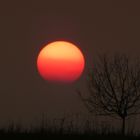 Sonnenuntergang Buckow Märkische Schweiz