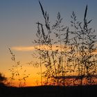 Sonnenuntergang Büdingen Bild 2