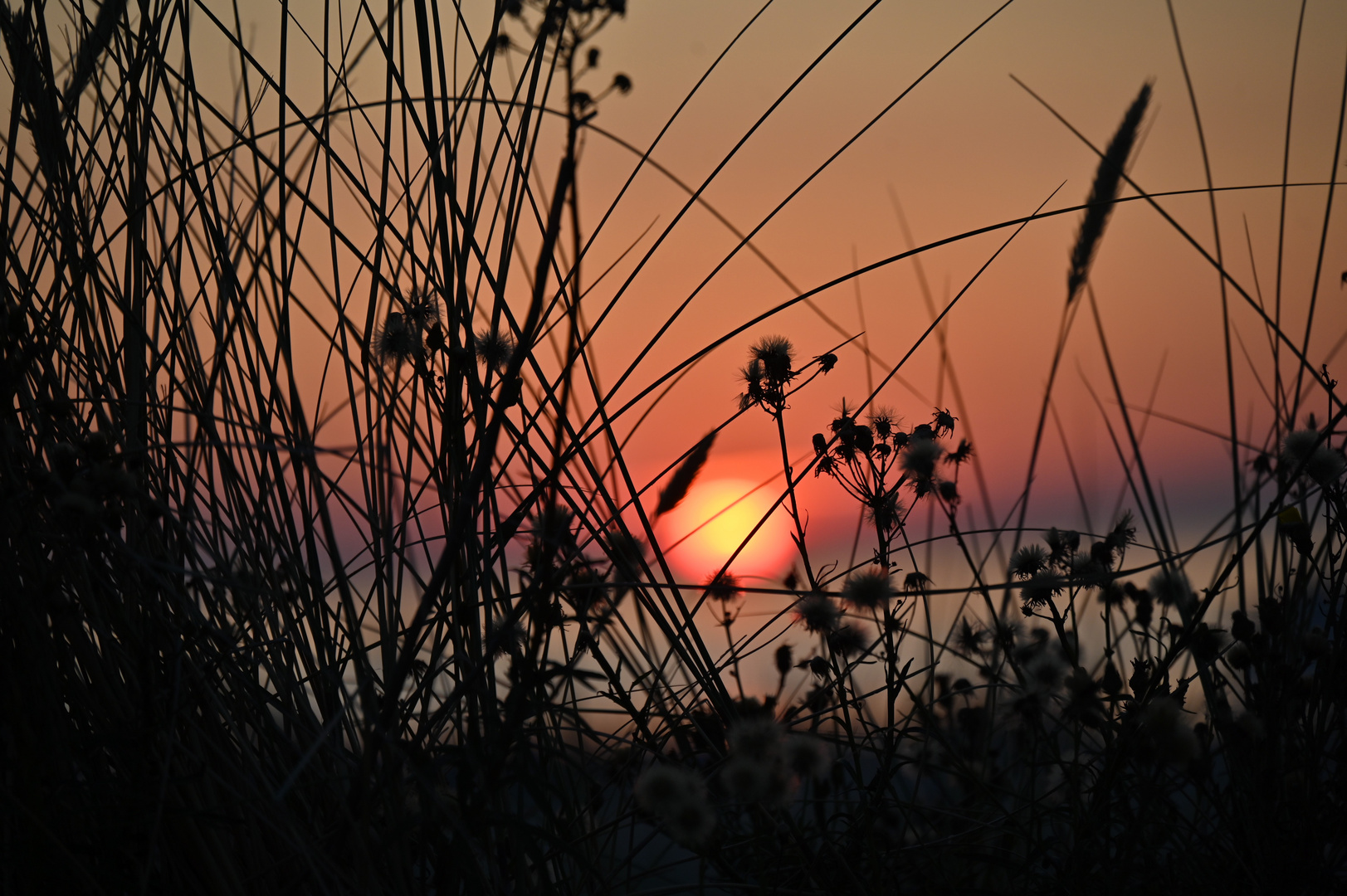 Sonnenuntergang Bühnenbild oder Dünenbild .. *;-)