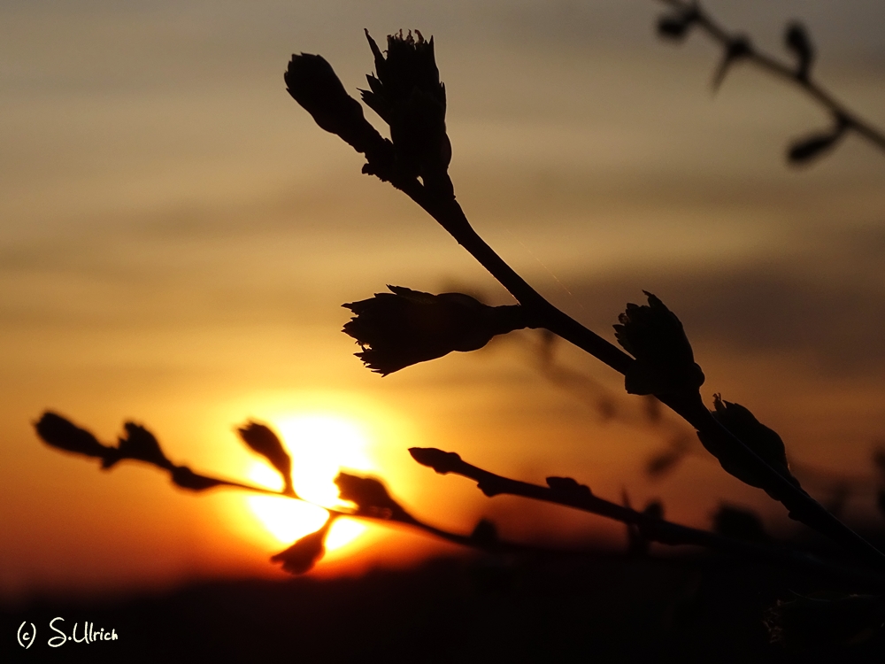 Sonnenuntergang