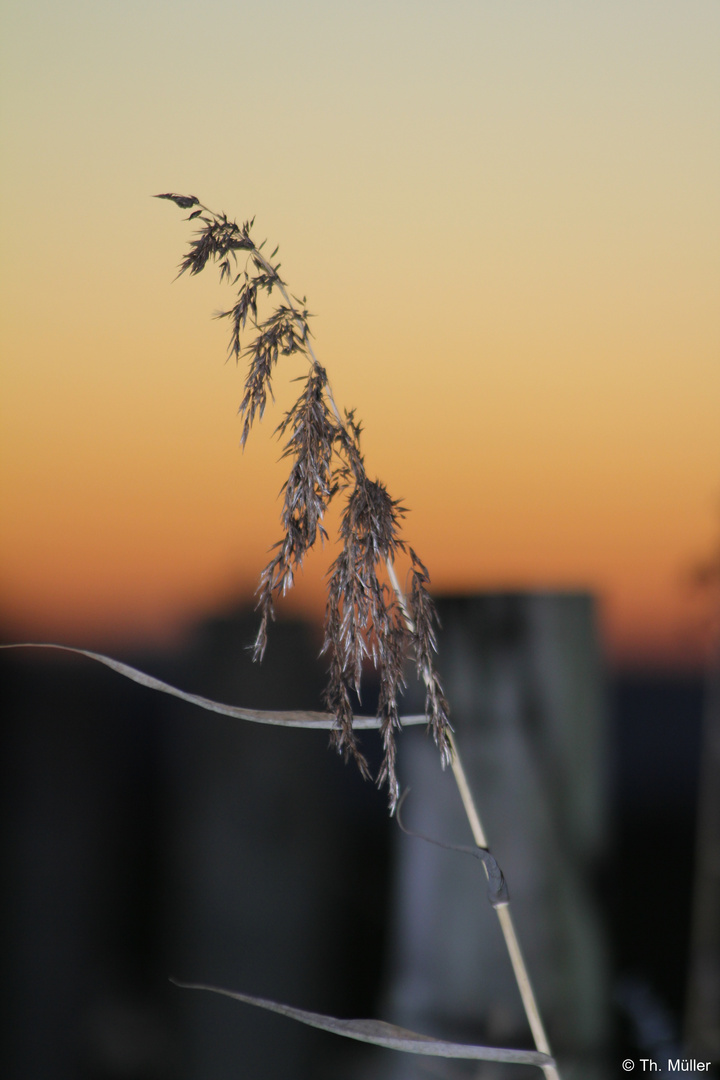 Sonnenuntergang