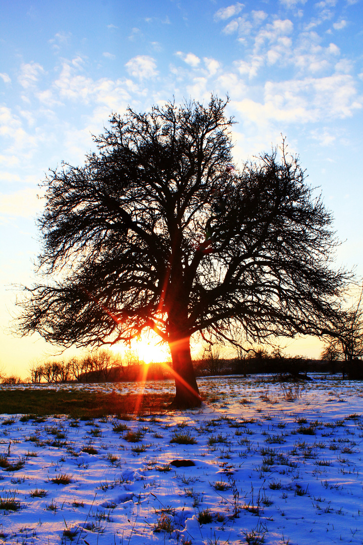 Sonnenuntergang