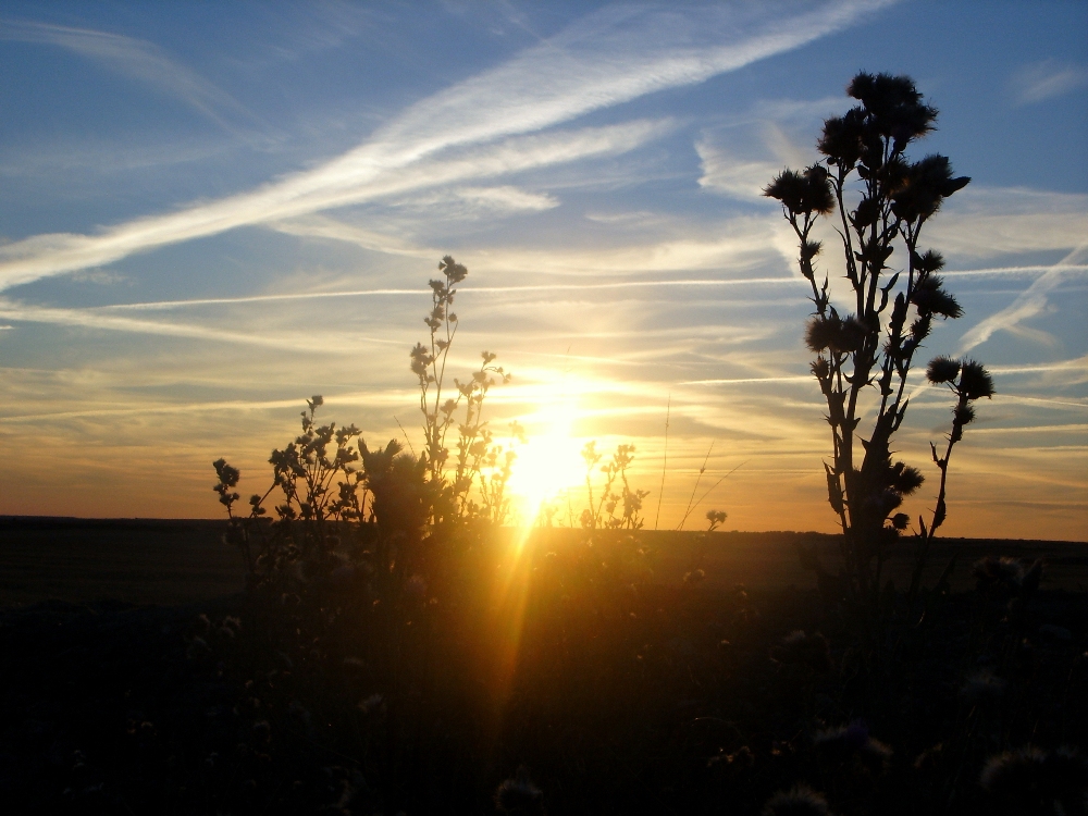 Sonnenuntergang