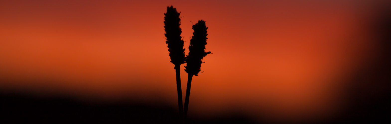 Sonnenuntergang