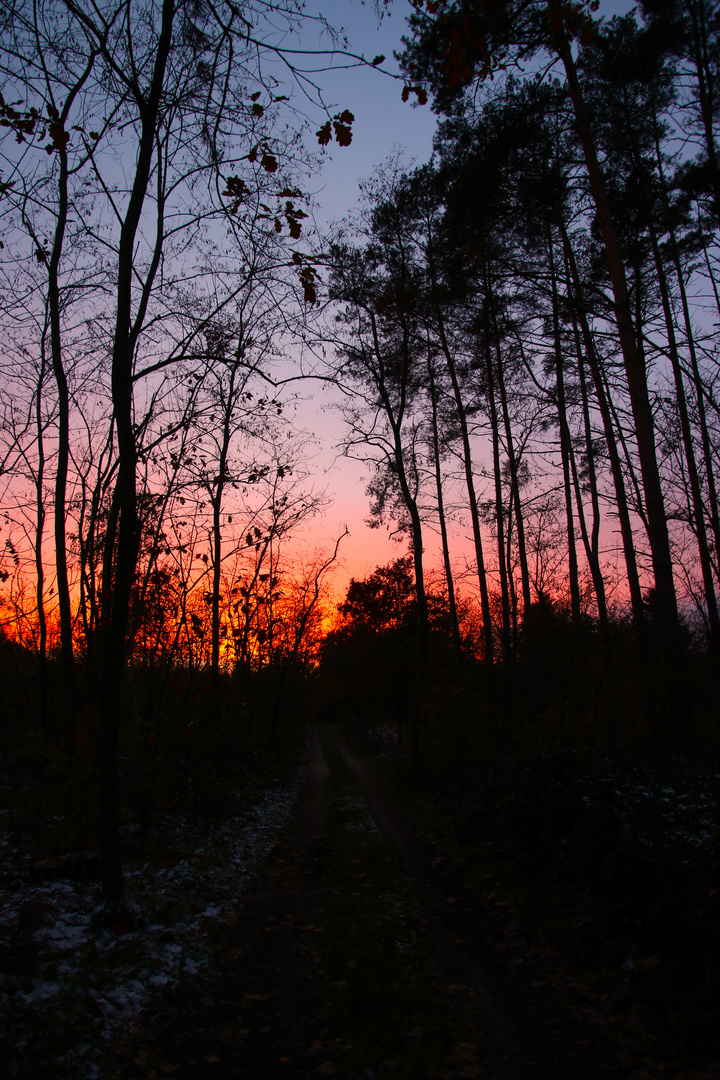 Sonnenuntergang