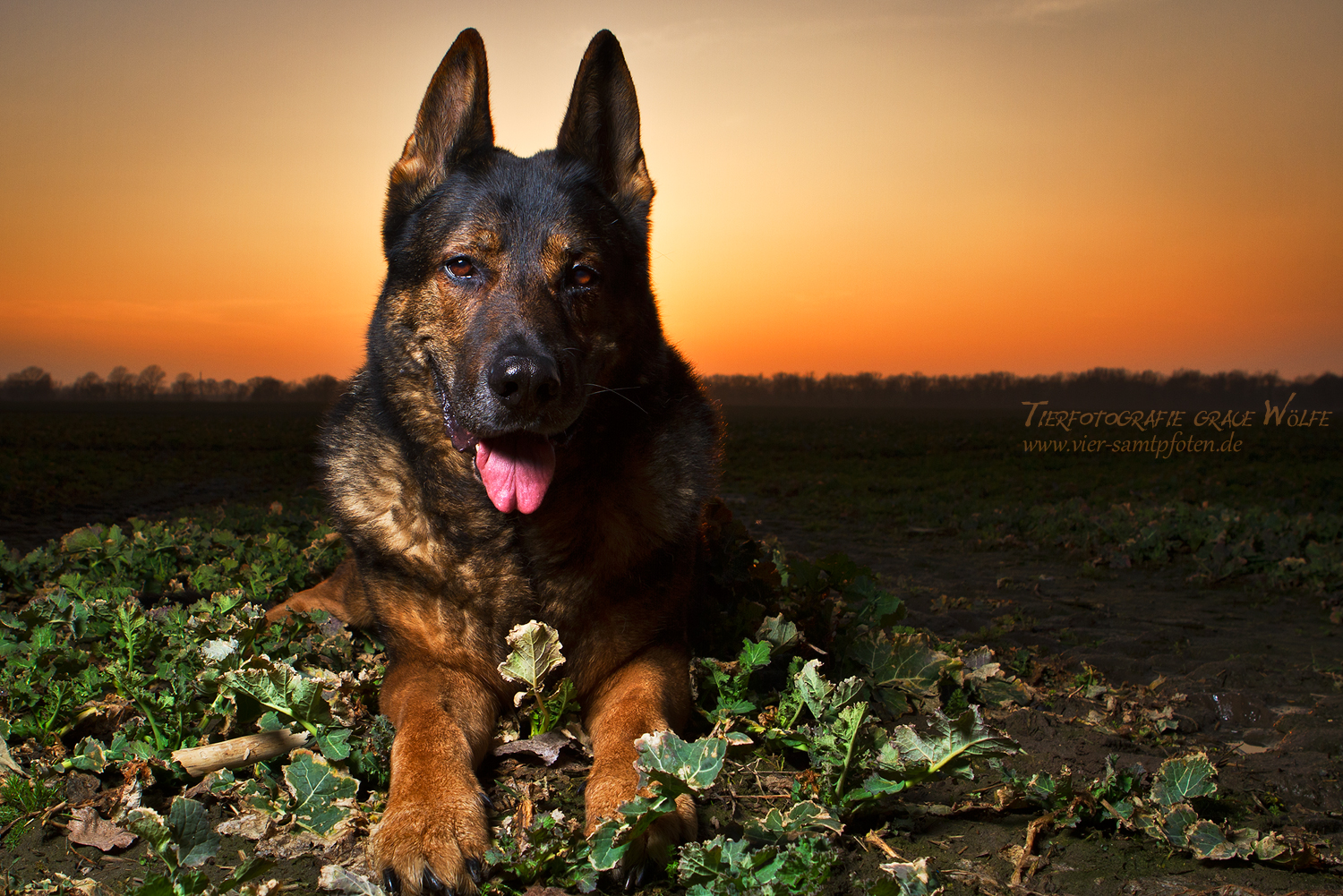 Sonnenuntergang