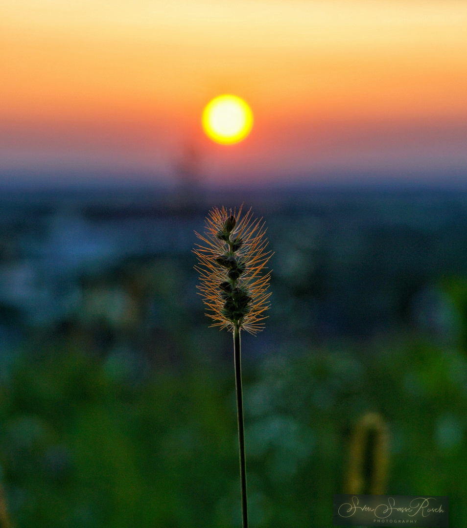 Sonnenuntergang 