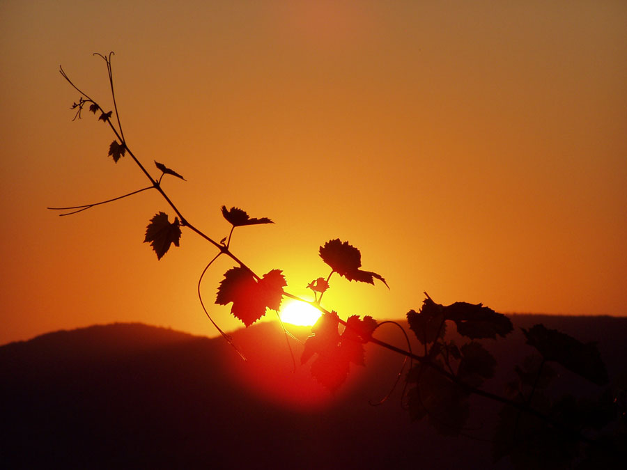 Sonnenuntergang