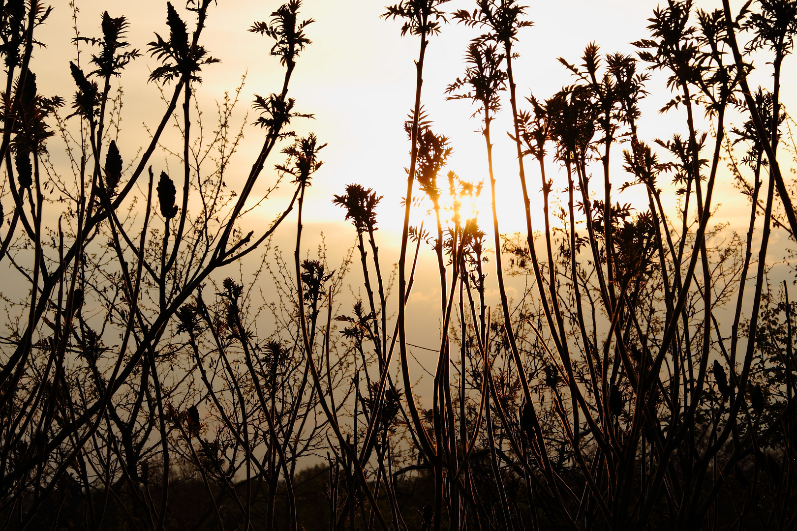 Sonnenuntergang