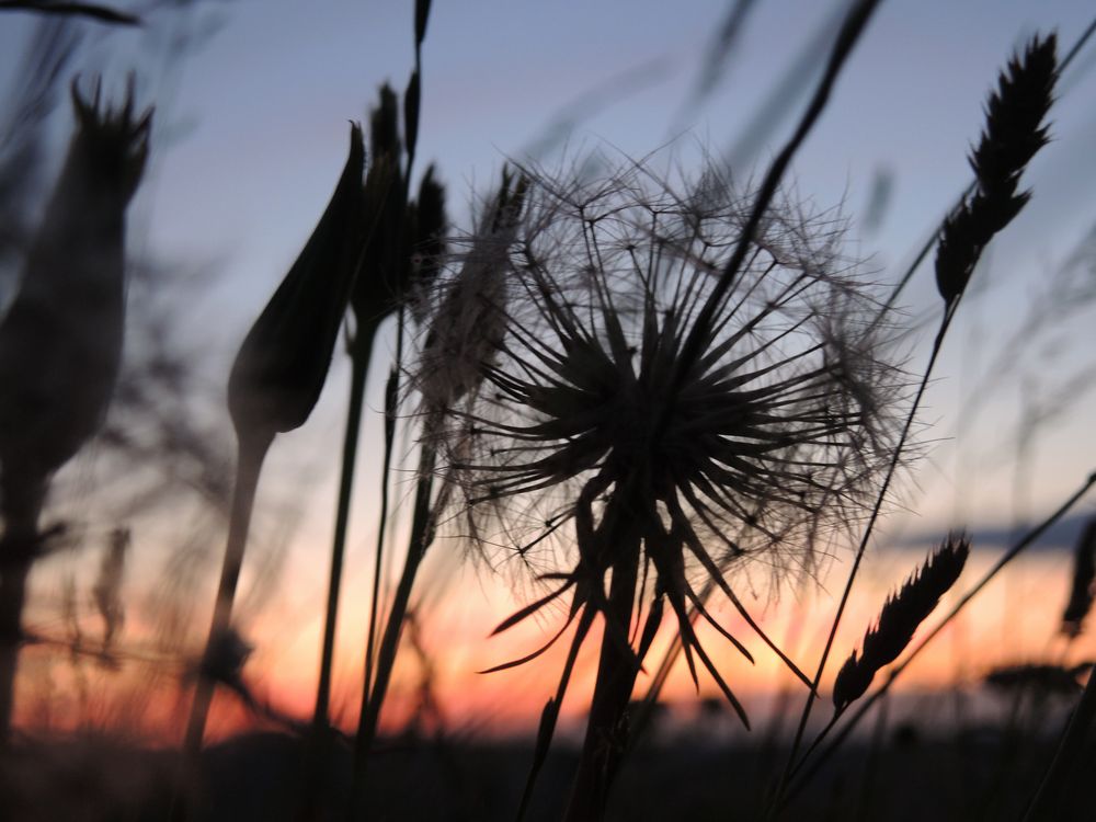 Sonnenuntergang 