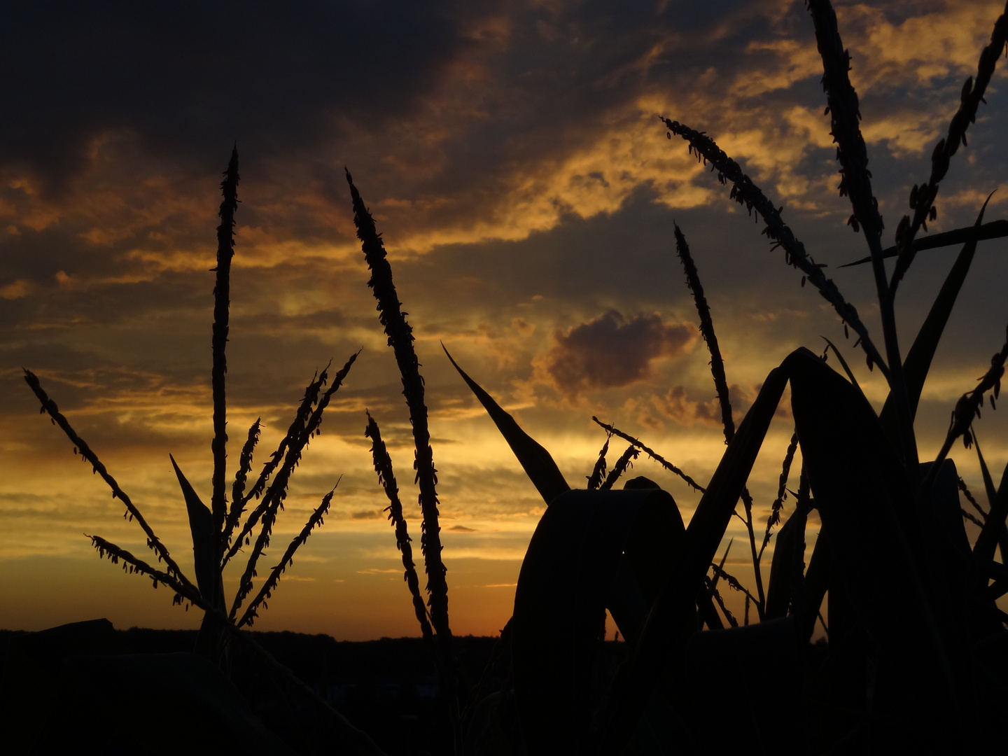 Sonnenuntergang