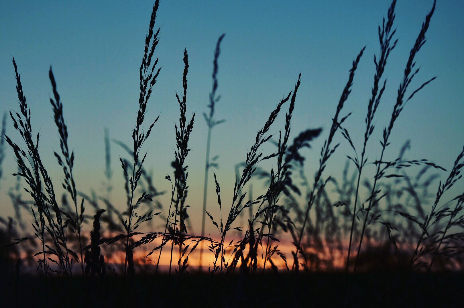 Sonnenuntergang 