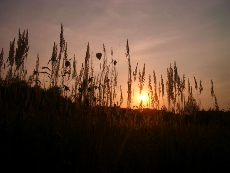 Sonnenuntergang