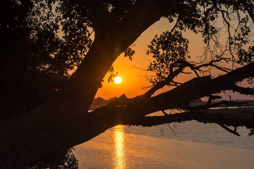 Sonnenuntergang Chobe Nationalpark