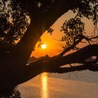 Sonnenuntergang Chobe Nationalpark