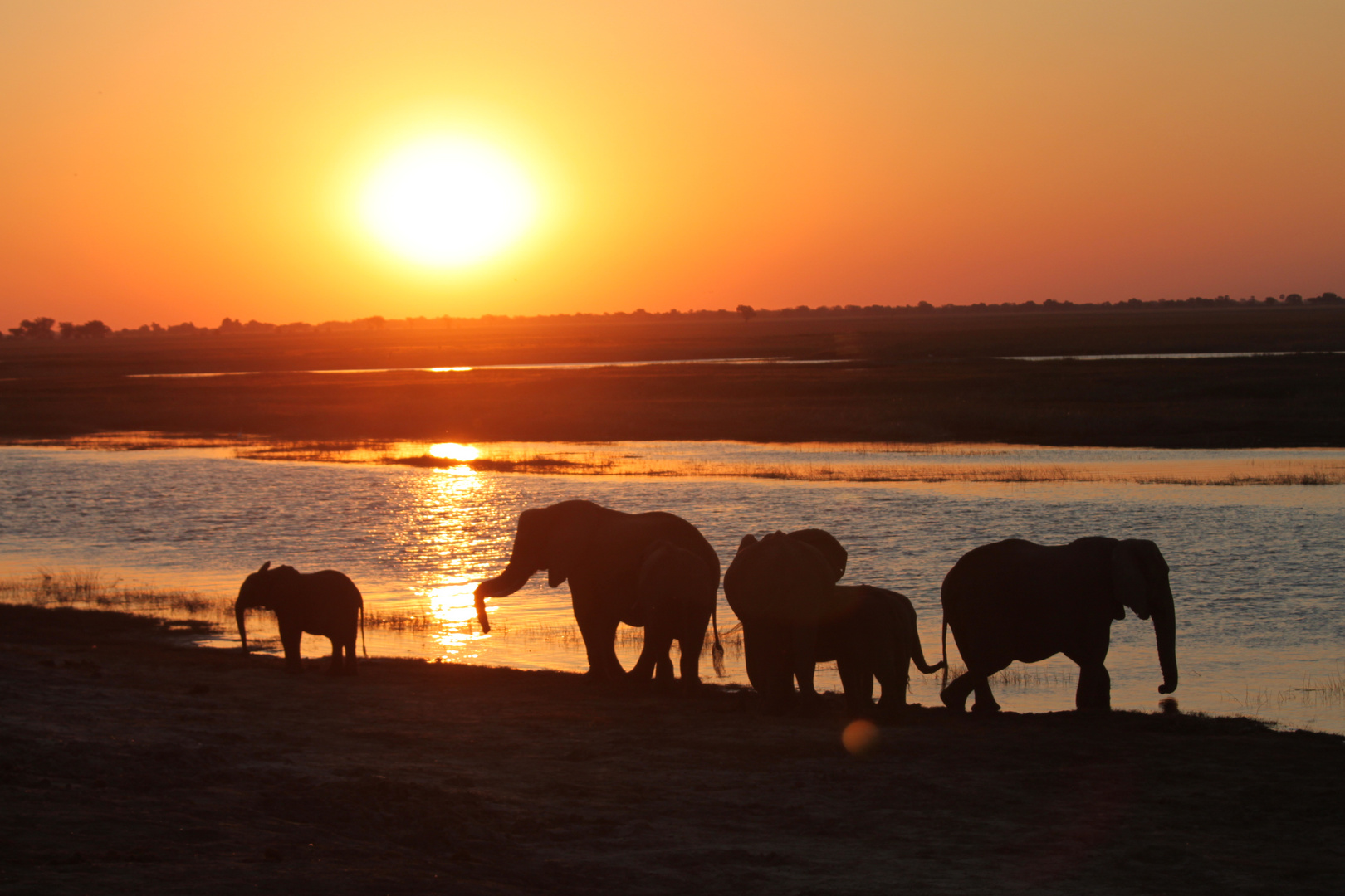 Sonnenuntergang Chobe Nationalpark Botswana
