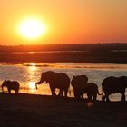 Sonnenuntergang Chobe Nationalpark Botswana