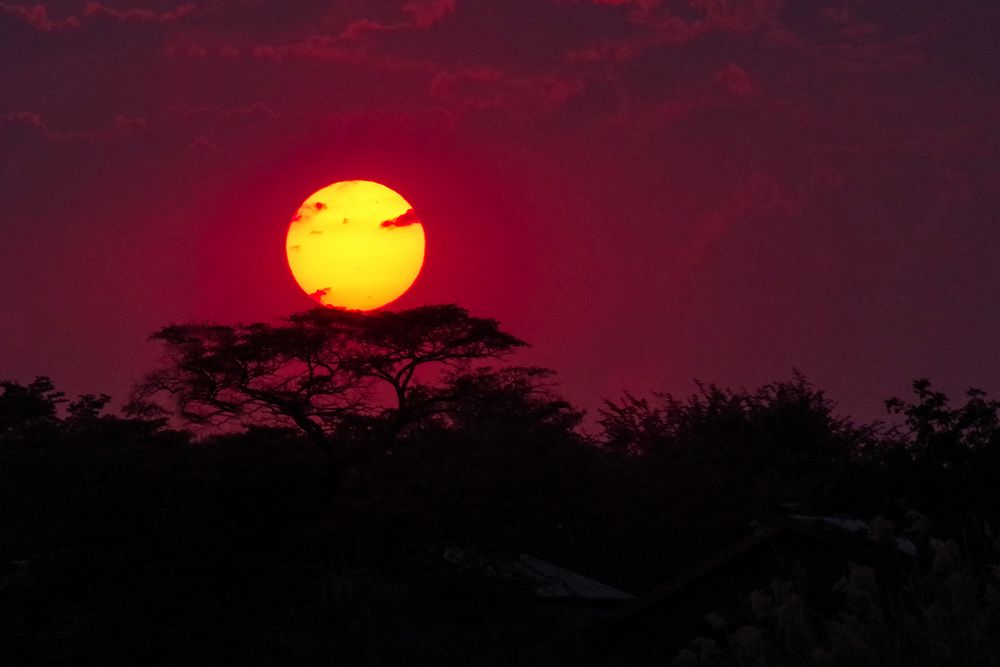 Sonnenuntergang, Chobe NP, Botswana