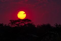 Sonnenuntergang, Chobe NP, Botswana