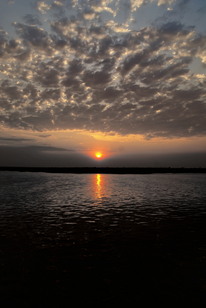 Sonnenuntergang Chobe River, Botswana 3