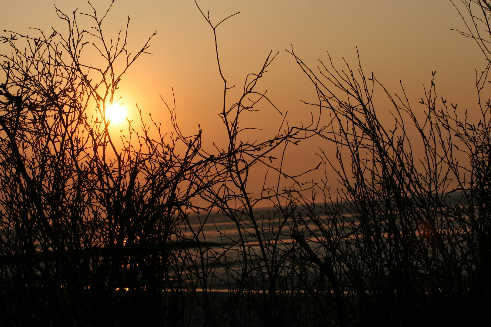 Sonnenuntergang Cuxhafen ( Döse)