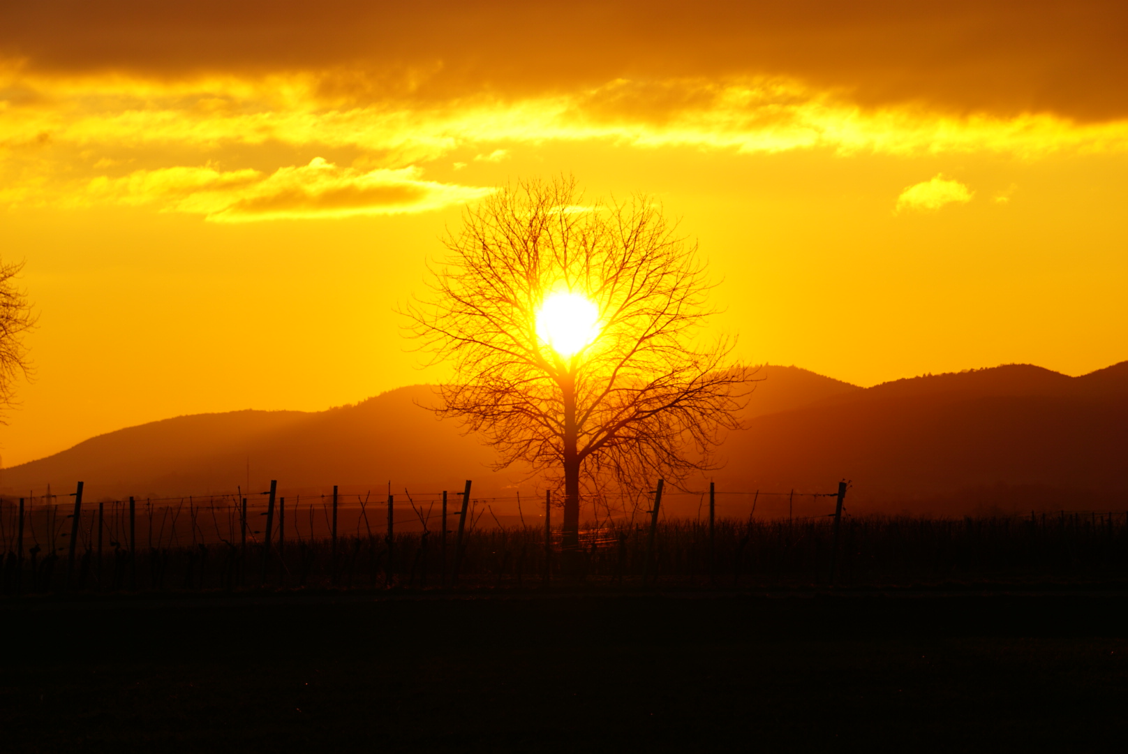 Sonnenuntergang 