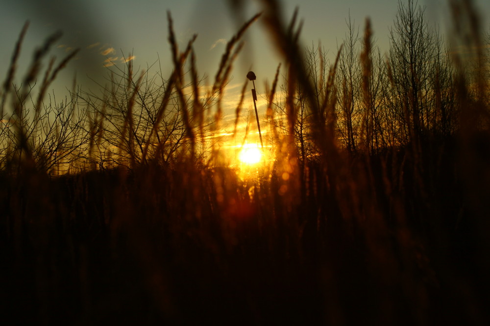 Sonnenuntergang