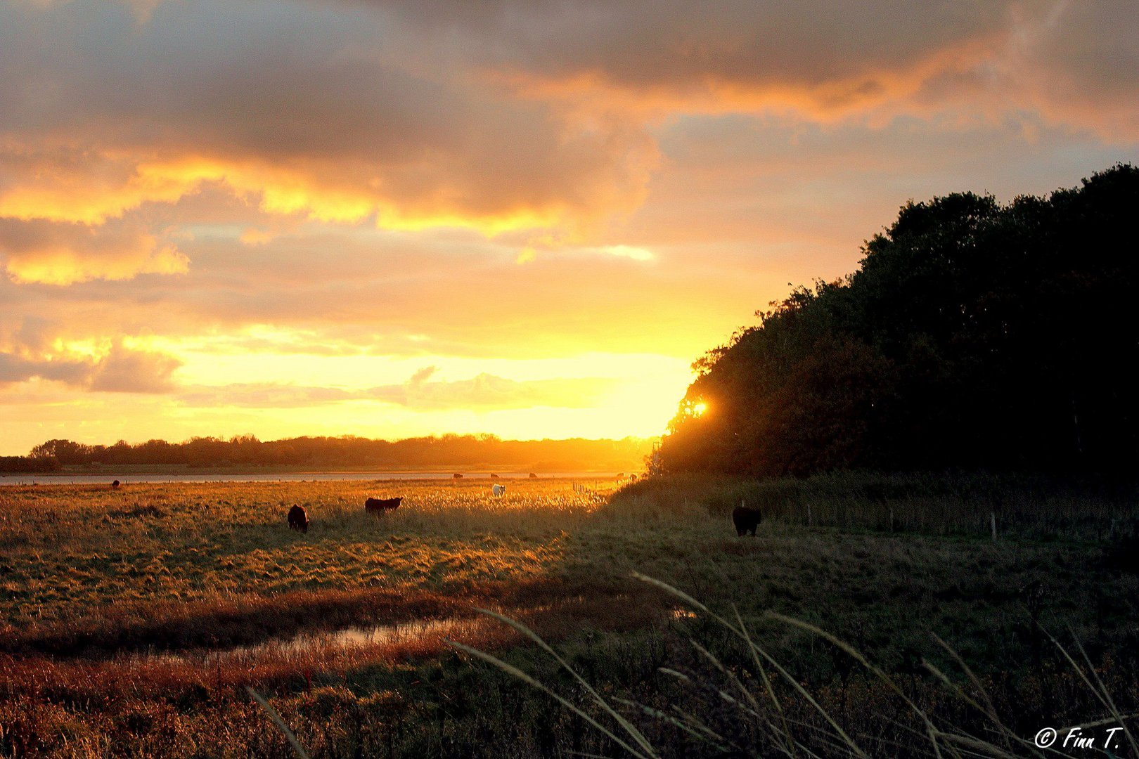 Sonnenuntergang