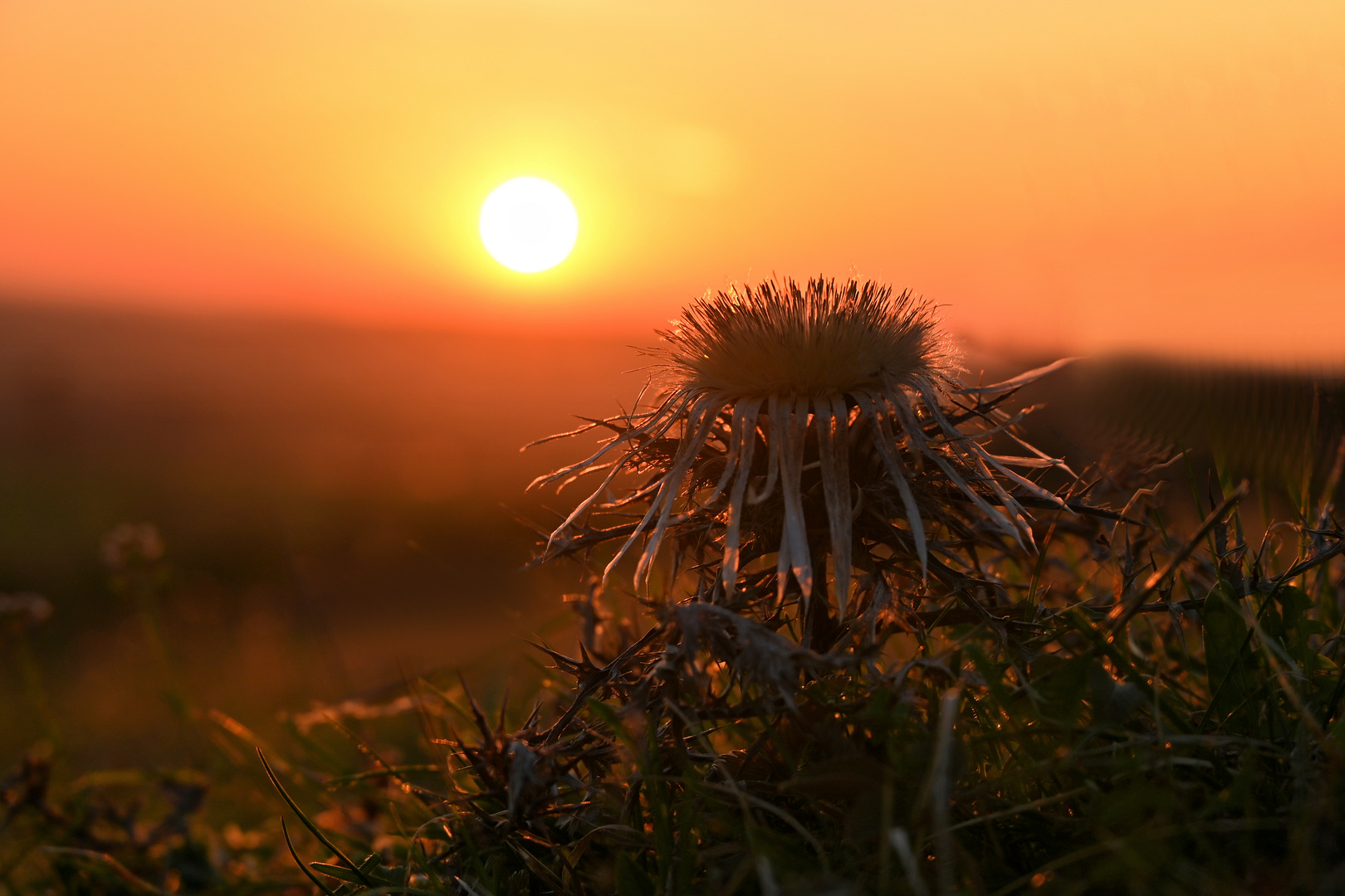 Sonnenuntergang...