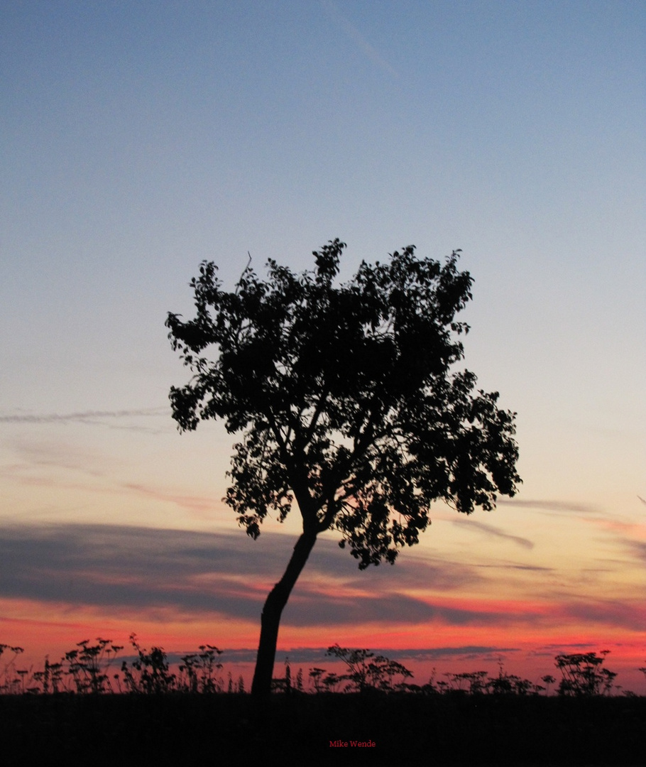 Sonnenuntergang