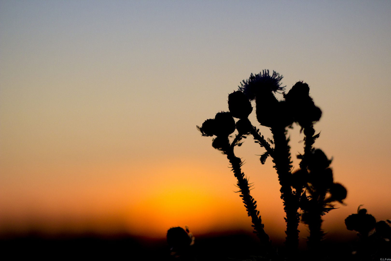 Sonnenuntergang