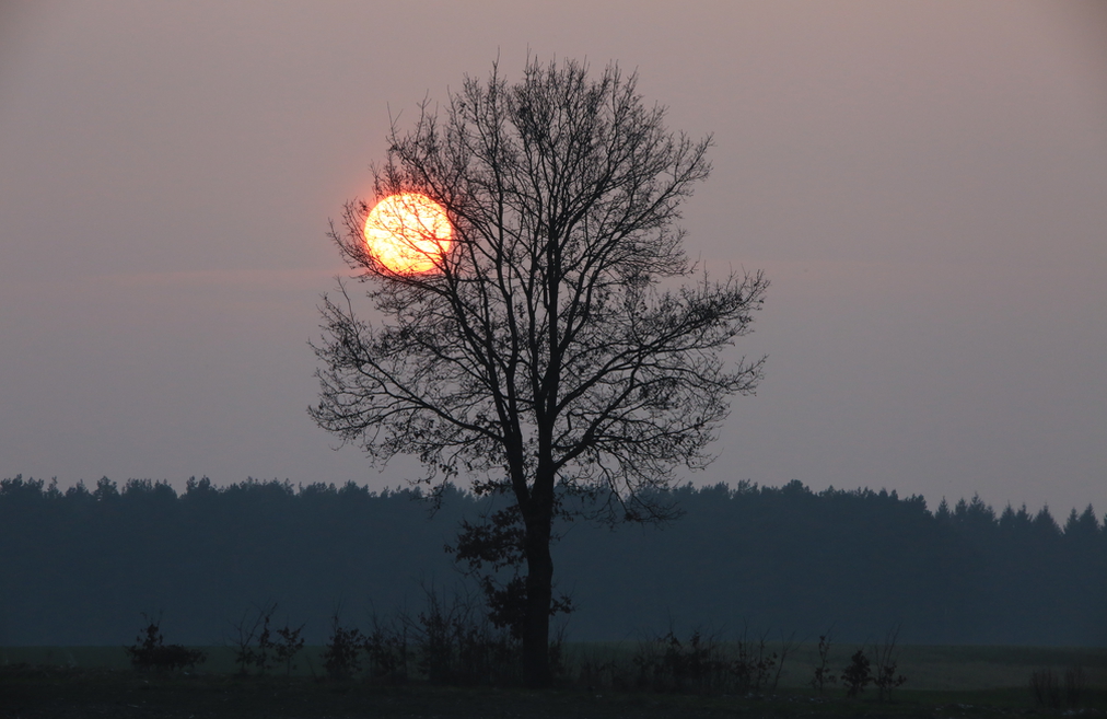 sonnenuntergang