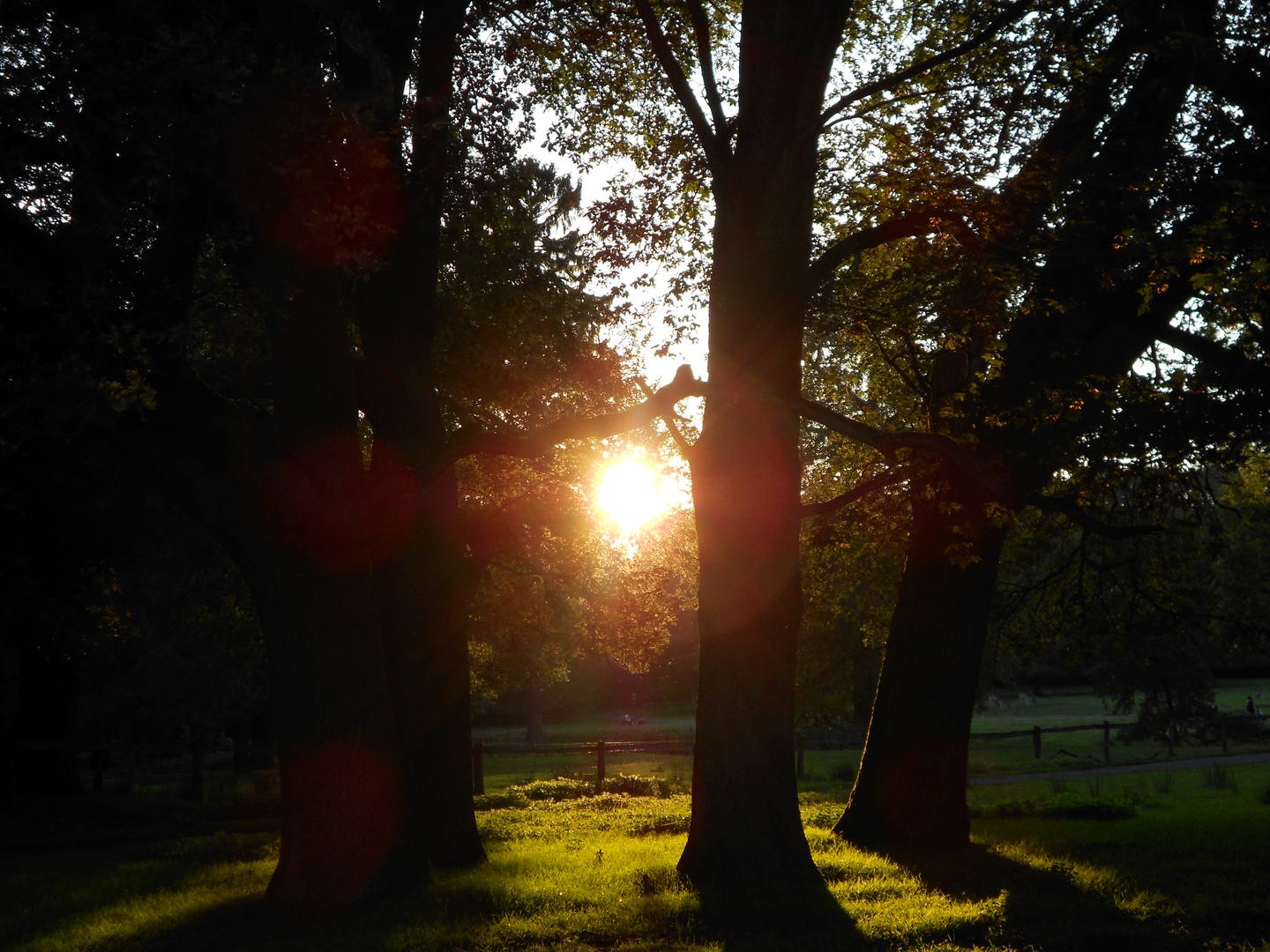 Sonnenuntergang