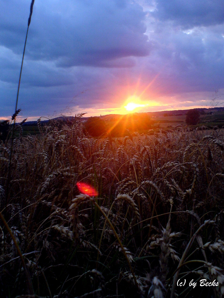 Sonnenuntergang..