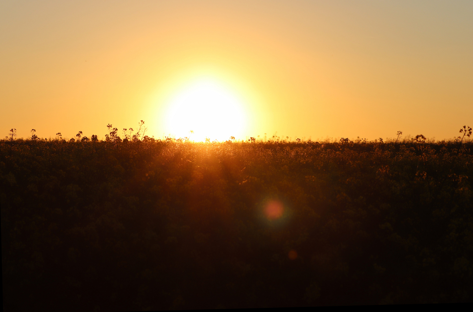 Sonnenuntergang