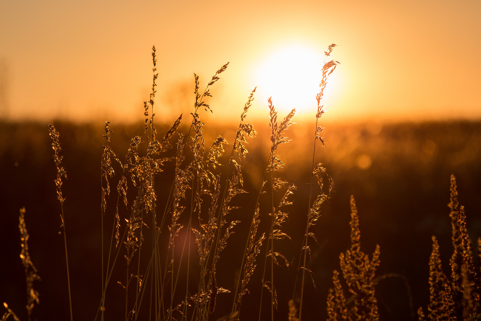 Sonnenuntergang