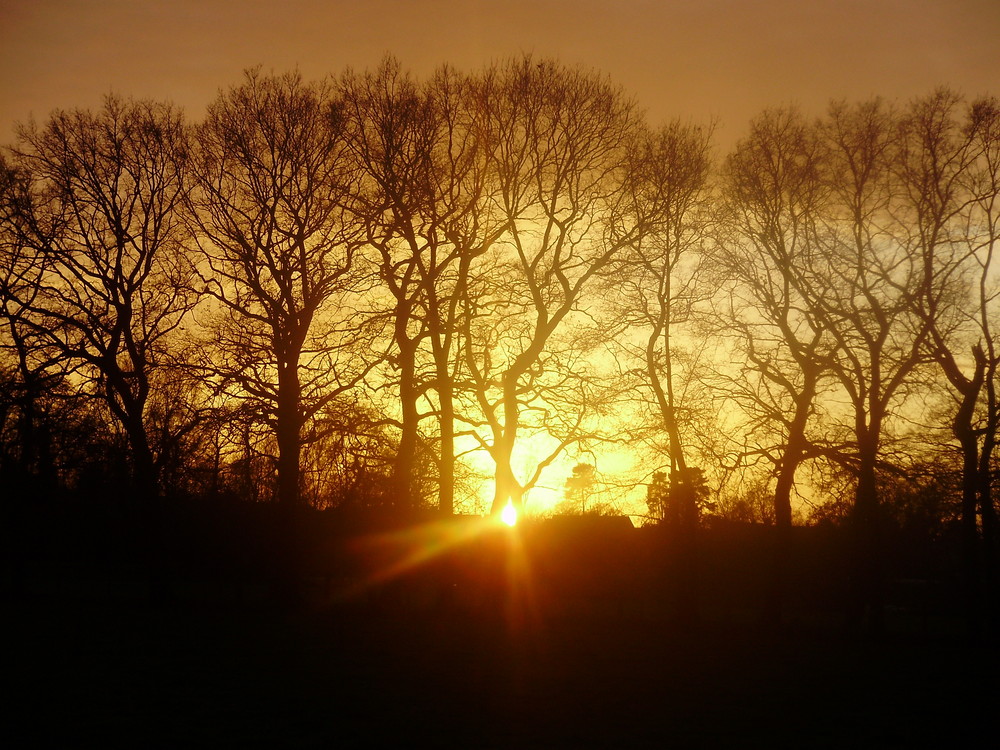 Sonnenuntergang